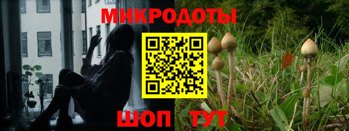 Псилоцибиновые грибы Magic Shrooms Новый Уренгой