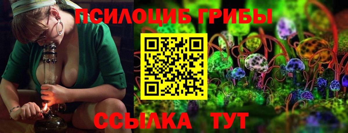 Псилоцибиновые грибы Cubensis  Вход с VPN  Новый Уренгой 